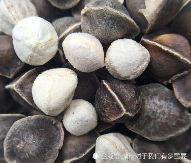 早起空腹来2粒,有效杀灭幽门螺旋杆菌,肠胃好