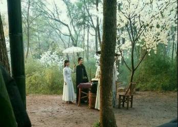 刘亦菲《南烟斋笔录》再曝路透照,奇女子陆掌