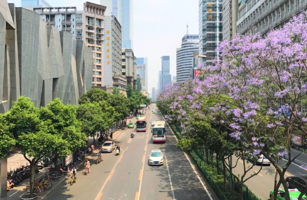 成都2018全年赏花地图已出炉!你最期待的是哪