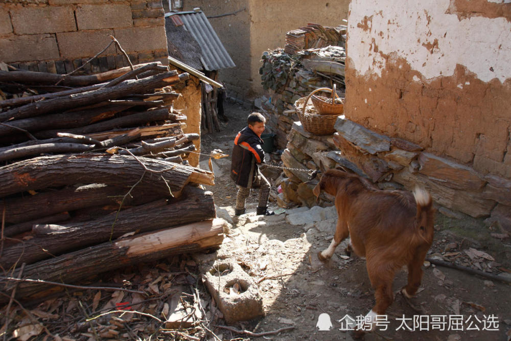 妈妈高考失败精神崩溃连儿子都不认识