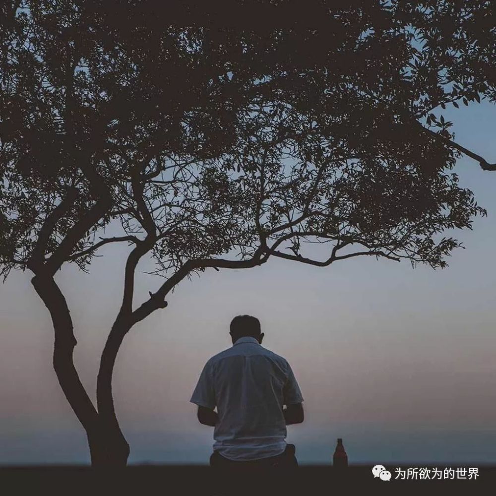 2017,送给自己的文