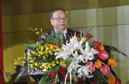 那些刚刚出现在两个排行榜上的河南本土开发商