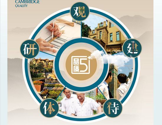 那些刚刚出现在两个排行榜上的河南本土开发商