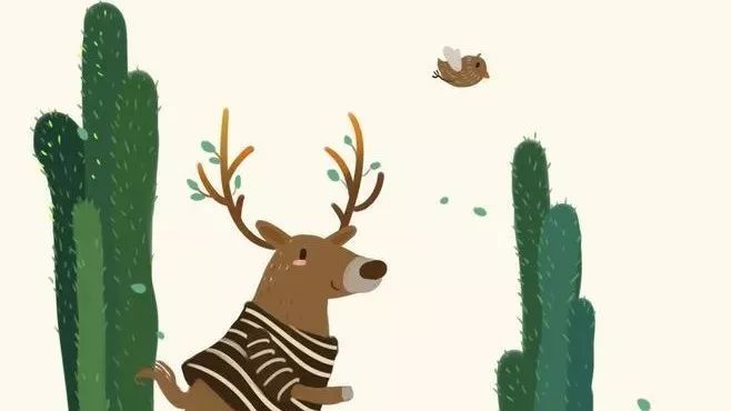 写在2017最后一天