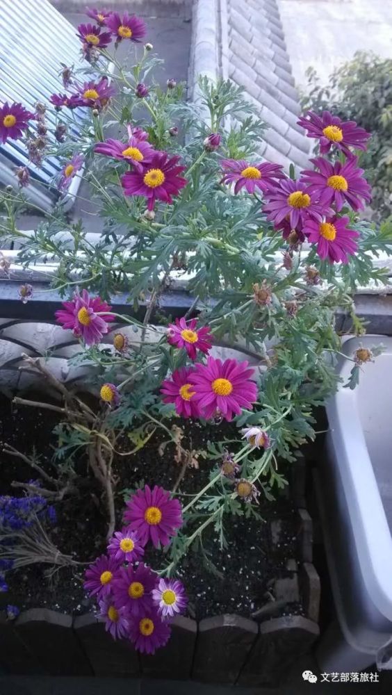 2017年,当佛系的心态遇上旅行