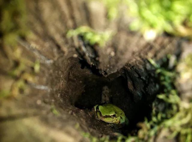 请回答2017#这样拍过的我的一年