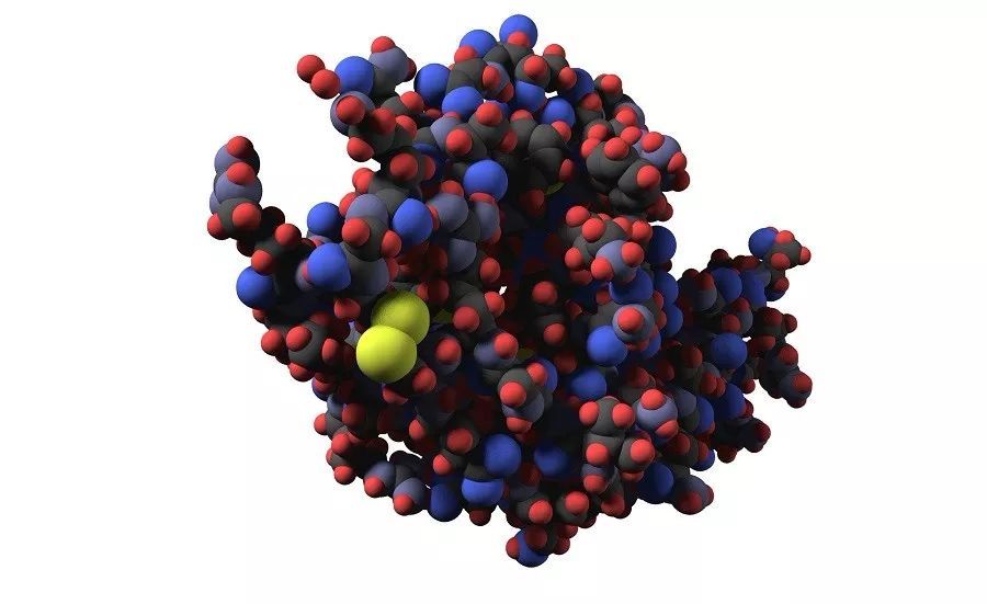 一文了解如何利用同源建模预测蛋白质三级结构