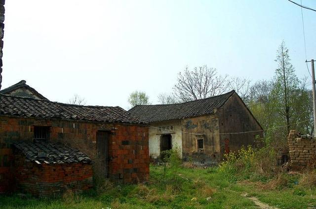 母亲临走分遗产,女儿却得到一本书,回到家后,女