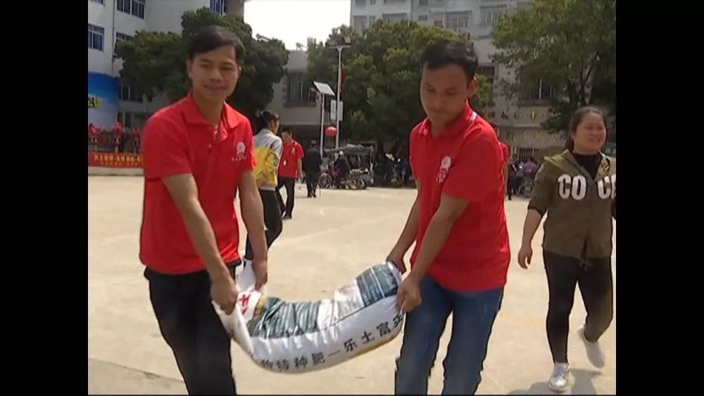 2017中国化肥企业100强系列排行榜 广西品牌