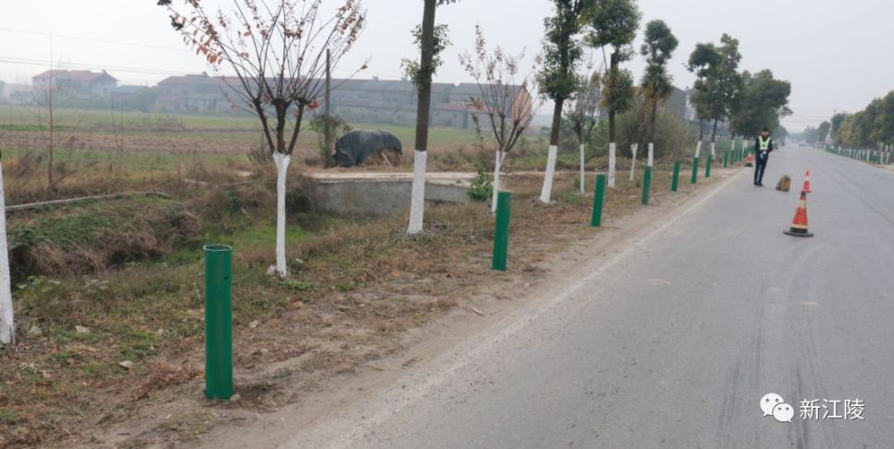 江陵县交通运输局:整治非法码头 创建四好农村