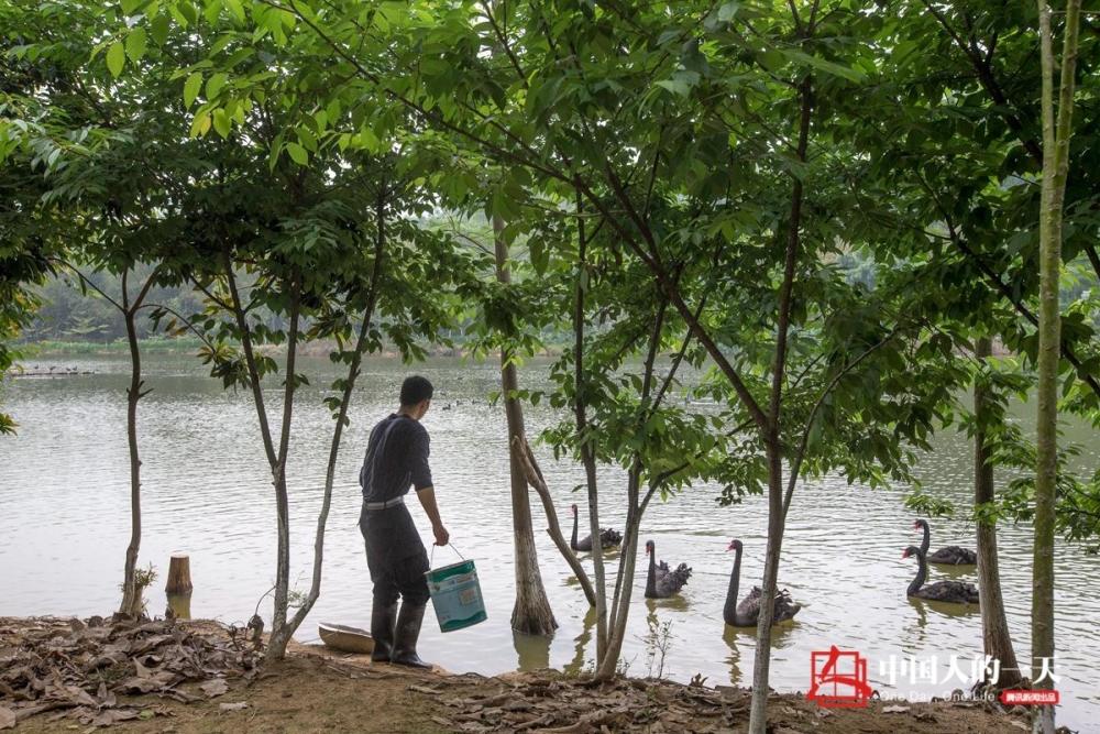 中国人的一天:一个人的动物城
