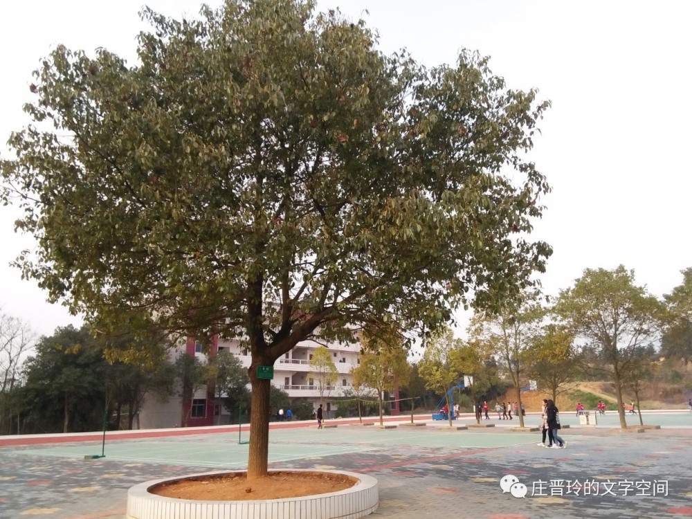 乌江中学语文校本教材--《校园诗文》