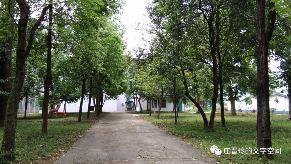 乌江中学语文校本教材--《校园诗文》