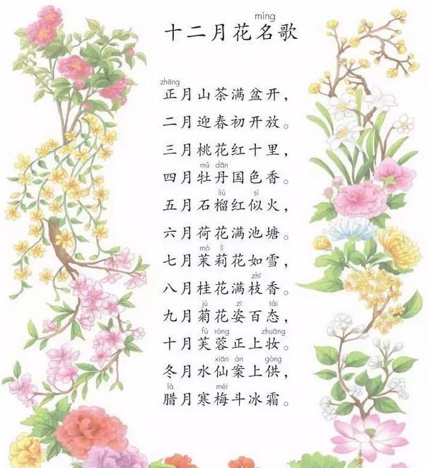 和孩子一起读十二月花名歌,新的一年,新的养花生活