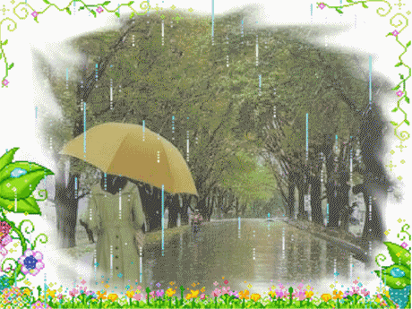秋天的雨