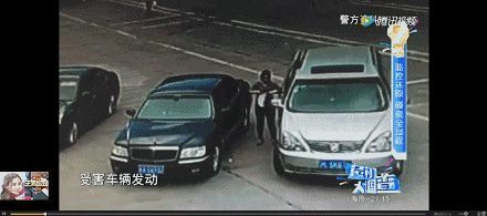 年首周海南气温最高29℃;37岁鹦鹉会讲英语,相