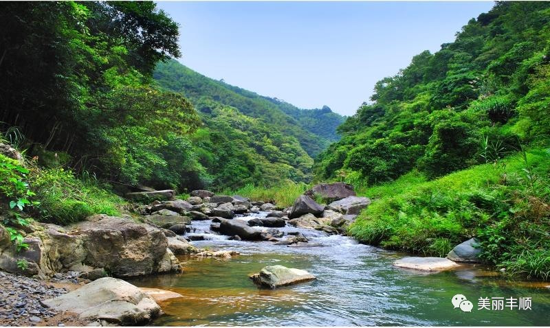 油菜花开 冬天,我偶尔还会银装素裹 龙归寨瀑布 韩山生态旅游的度假区