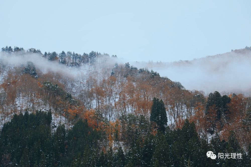 唐方方:如何获得幸福感?