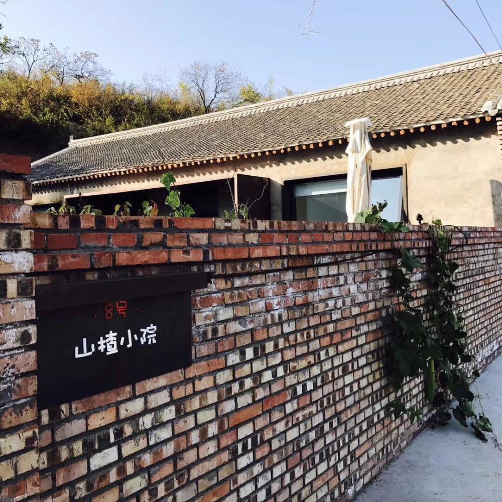 跨年演讲,你又被老罗套路了吗?