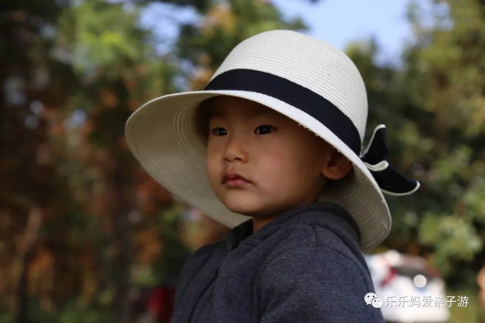 广州 摘草莓的季节