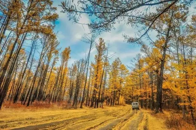 玻利维亚无条件落地签、阿联酋即将免签,世界