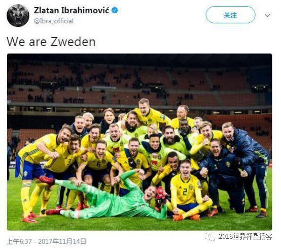 2018世界杯欧洲组-瑞典队让豪强球队头疼,这匹