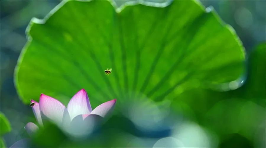 资管产品征税我们不急 新三板三类股东大部分