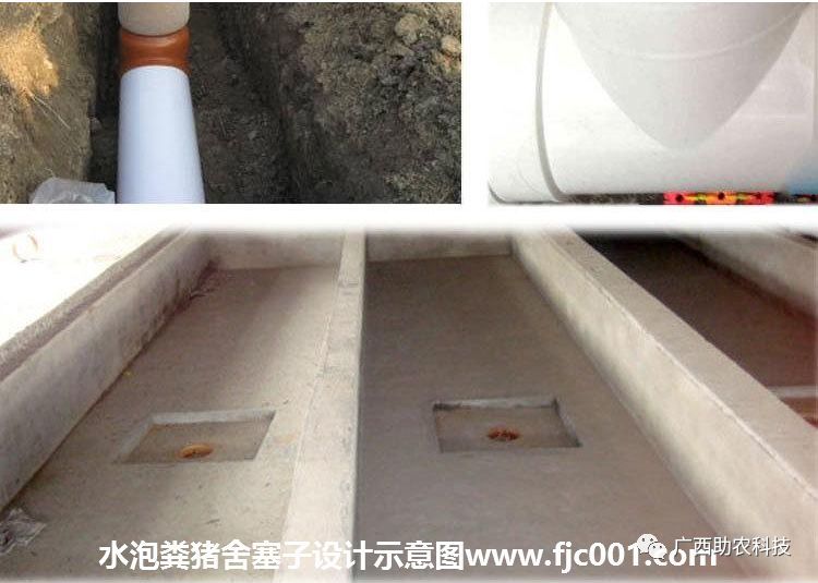 当前新建扩建猪场采用哪种模式好?能成本低省