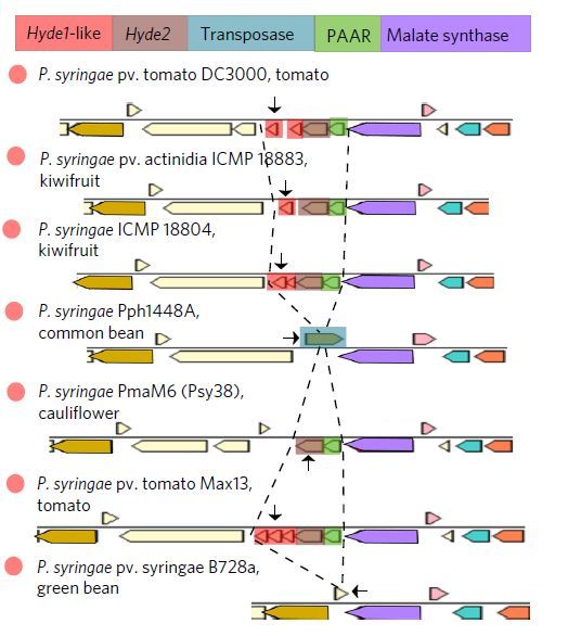 数千份高通量测序揭示微生物与植物的关系