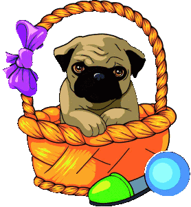 2018狗年最新表情包,真漂亮!