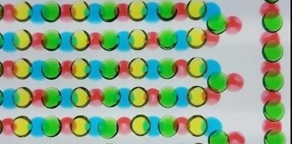 可应用于软体机器人的柔性电池,灵感来源于电鳗