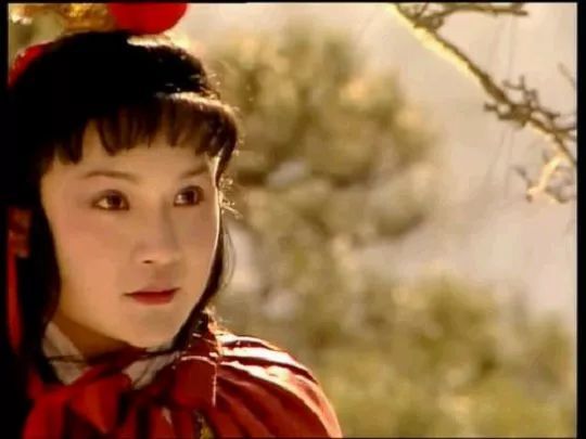 他为什么成天与女孩厮混?--《红楼梦》中贾宝