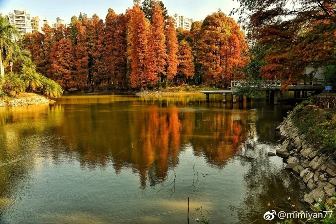 最低5℃!广州2018年第一场雨即将发货!降温+湿
