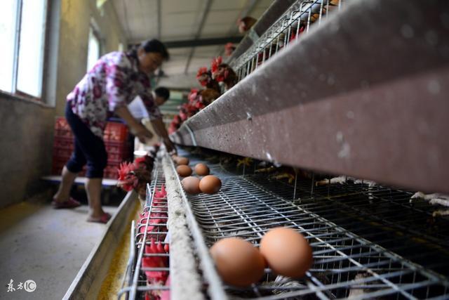 2018年,农村养殖户的环保税怎么算?有哪些不