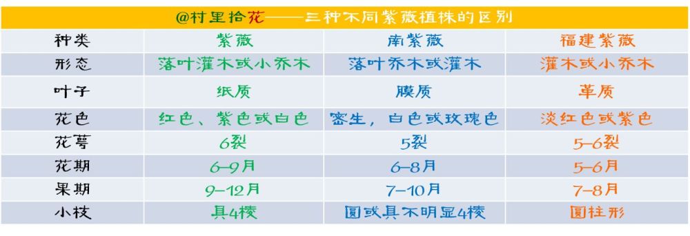 我不是紫薇,我是紫薇