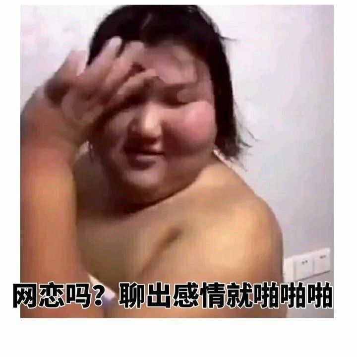 超级搞笑动态图,十张让你笑疯的猫狗搞笑动图集萃