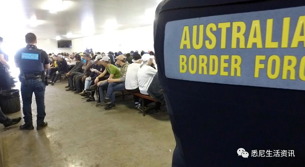 澳洲大规模抓非法移民!6万黑民遭殃,他们不择
