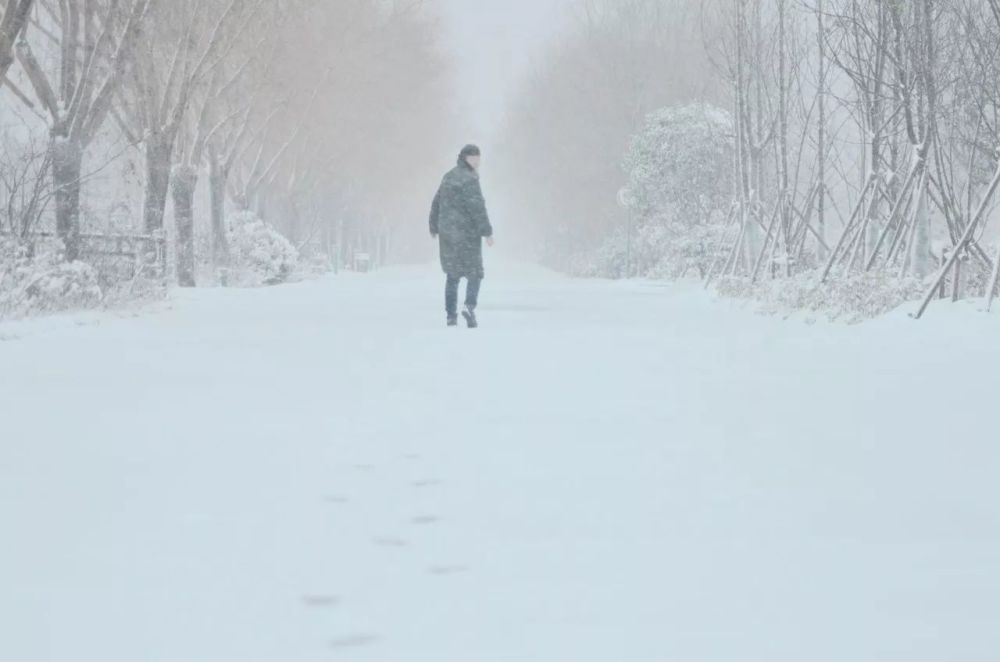 洪泽湖湿地大雪纷飞,雪中景色美到让人颤抖!