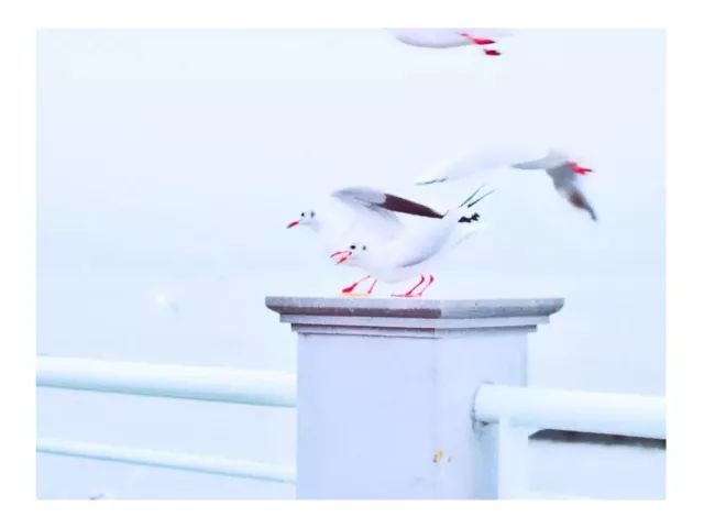 中国最宜居的十大城市排名,昆明不负众望居榜