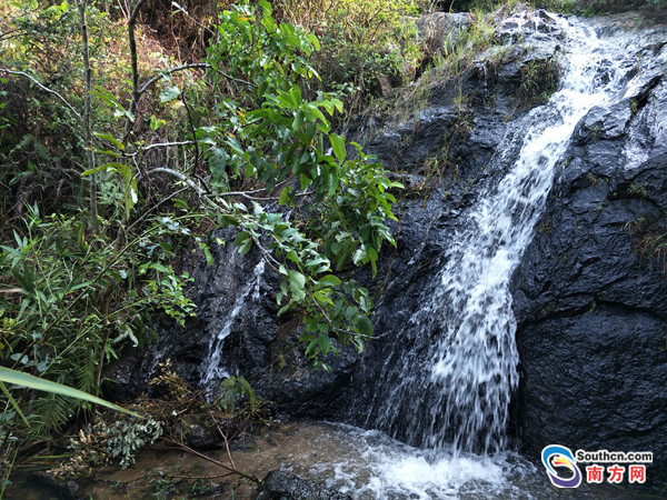珠海在讀博士發(fā)現(xiàn)了一種蟹，比大熊貓還要珍稀