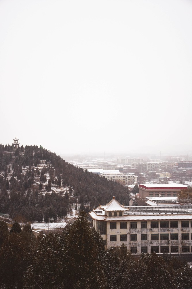 2018年的第一场雪,嘉祥最美的雪景照都在这里