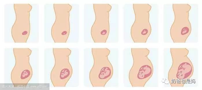 产科医生教您,怎样科学的计算孕周-天天快报