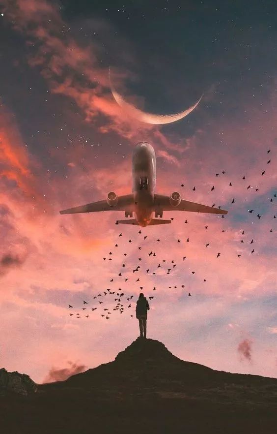 听海外名校教职聊博士与博士申请