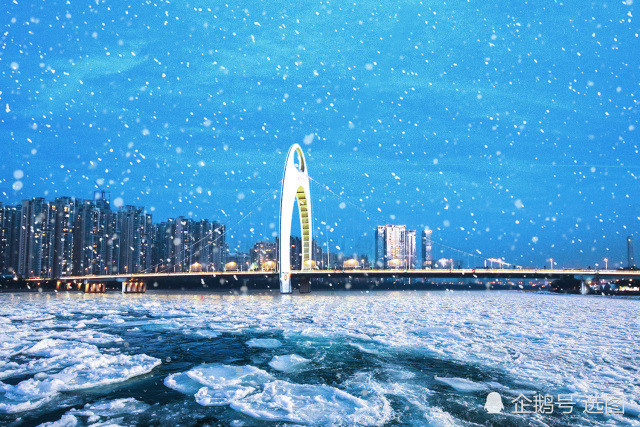 广州飞雪是什么模样?图来了