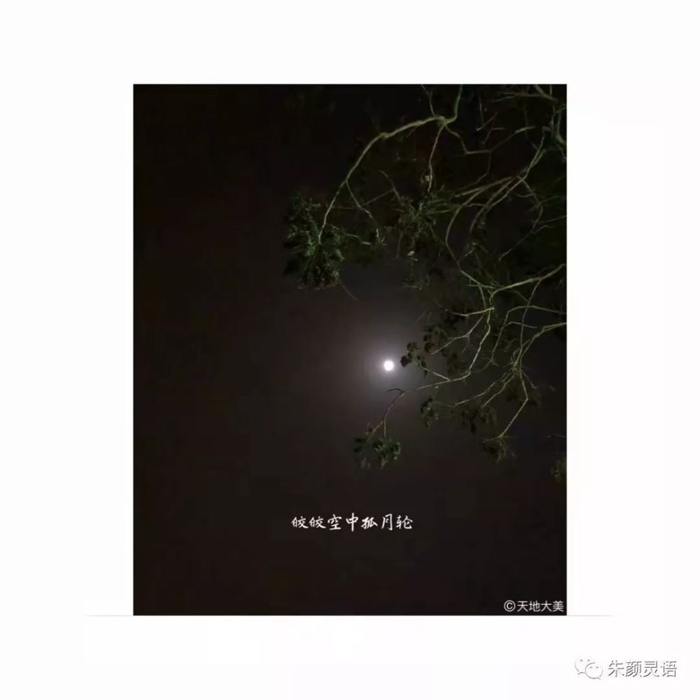 这巨大的羞耻 想起来 令人深夜难眠…… 2018
