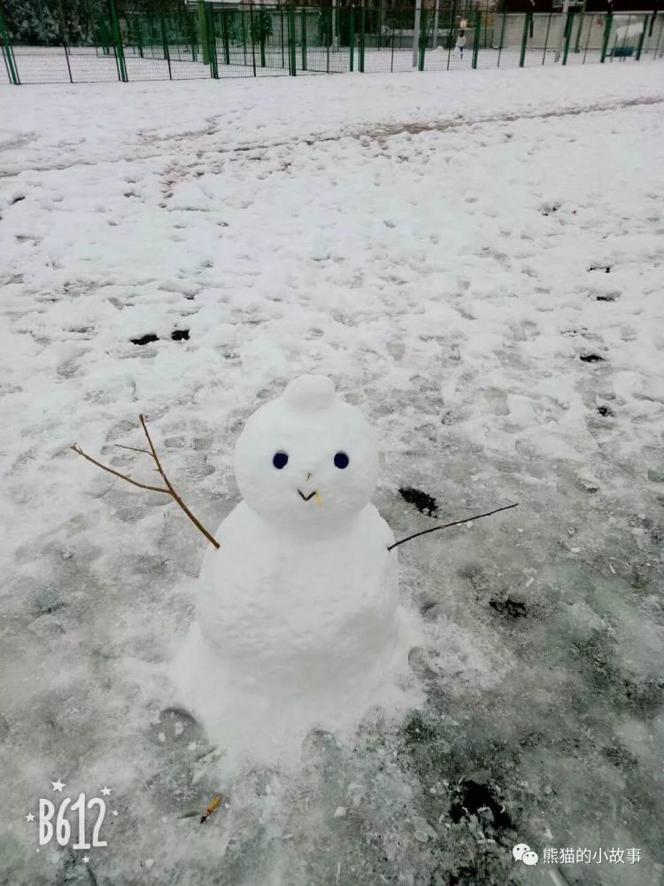 然后新鲜出炉的各式各样的雪人,因为朋友圈下的雪比现实还大.