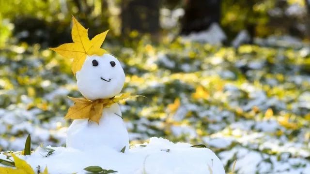 小寒:天将暮,雪乱舞,半梅花半飘柳絮