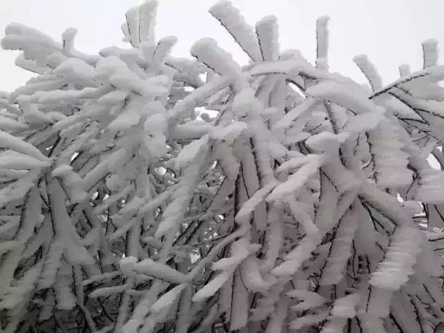 宜昌赏雪地图新鲜出炉,在诗画之城邂逅下雪的冬天!