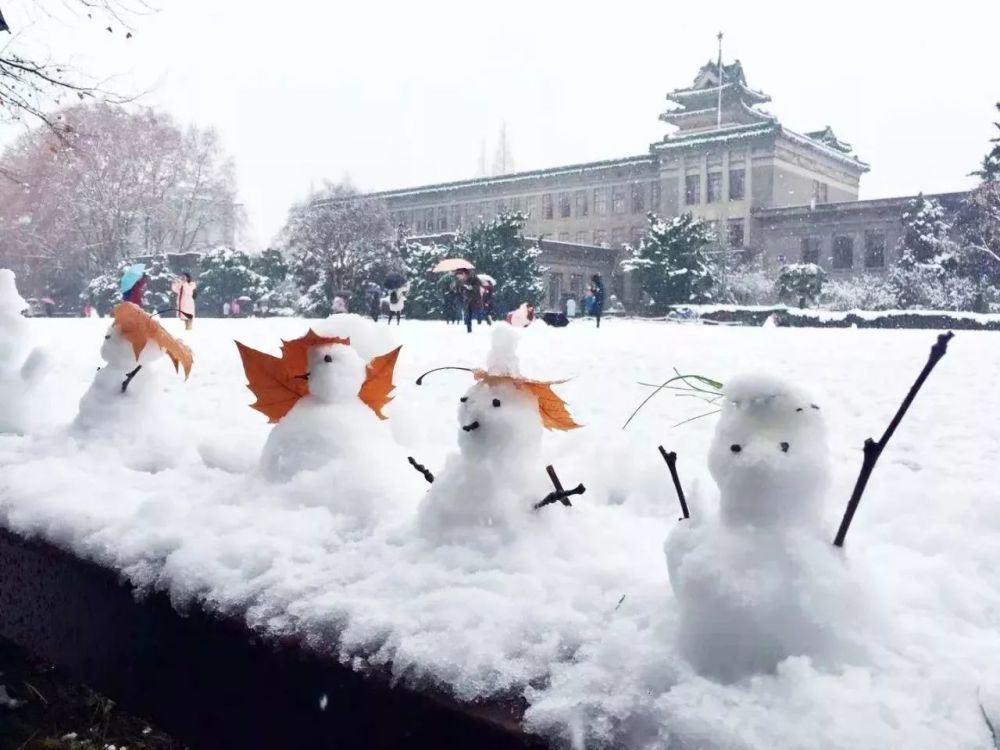 雪景不仅美丽冻人 还特别好玩