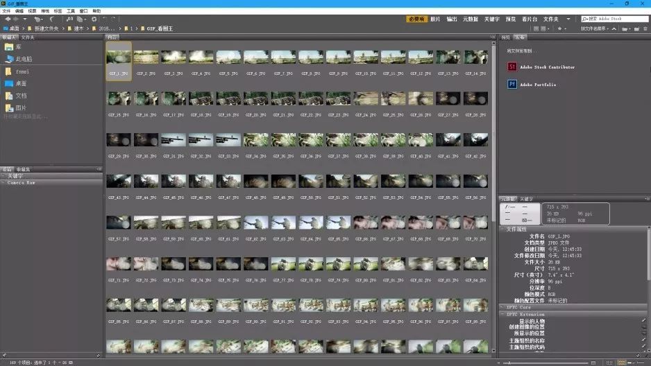 Adobe Bridge:细心的图片观察家